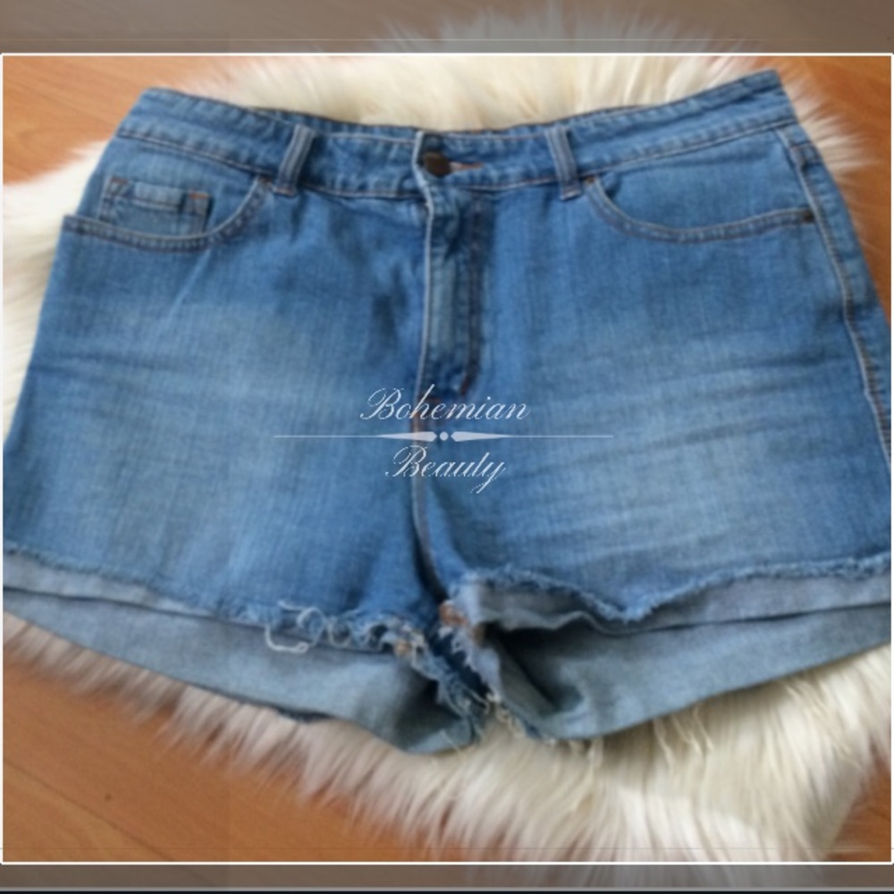 {BDG} •High Waisted • Denim Shorts